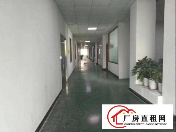 
		出租龙岗区龙城新出标准厂房二楼700平，带装修，有现成环评喷
	