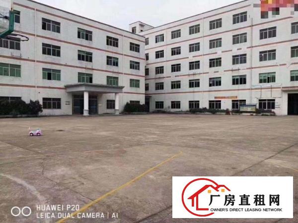 
		南联新出原房东楼上厂房700平出租带办公室装修面积实在
	