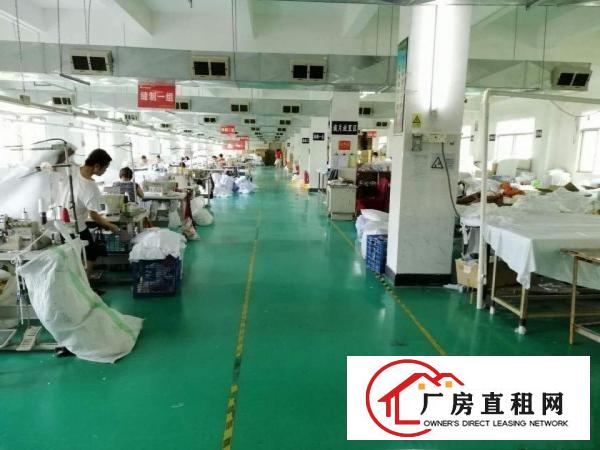
		南联新出原房东楼上厂房700平出租带办公室装修面积实在
	