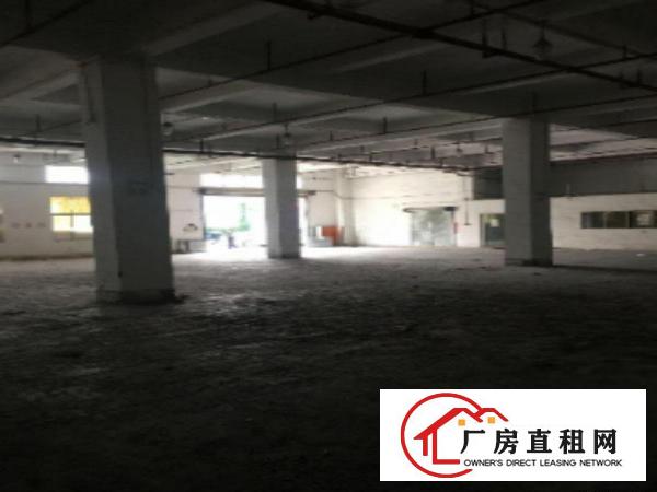 
		出租龙岗区上李郎科技园C栋一楼
	