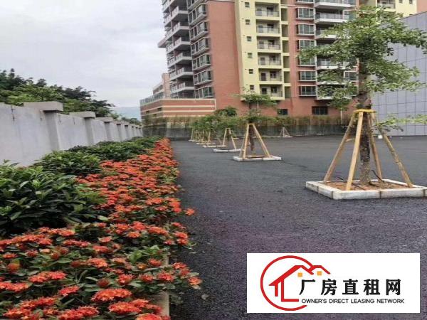 
		龙岗爱联地铁口新出翻新厂房20000平小80平电商仓库
	