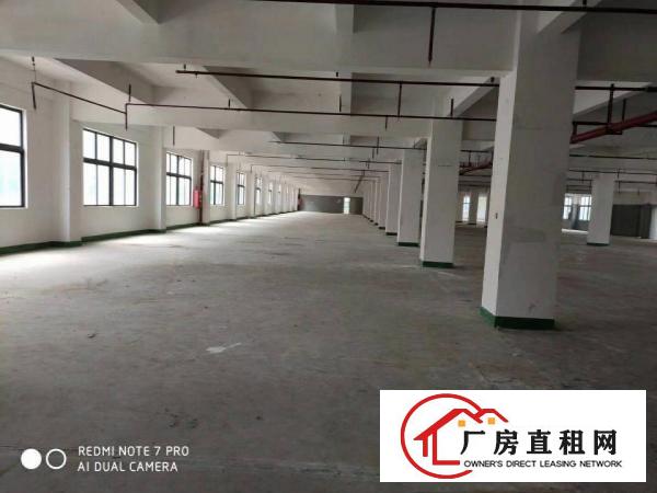 
		龙岗宝龙原房东高新园区红本5000平厂房出租可分租
	