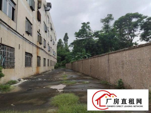 
		龙岗南联独院厂房12000平招租大小分租空地超大位置
	