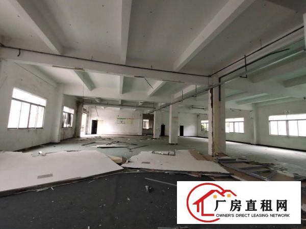 
		龙岗南联独院厂房12000平招租大小分租空地超大位置
	