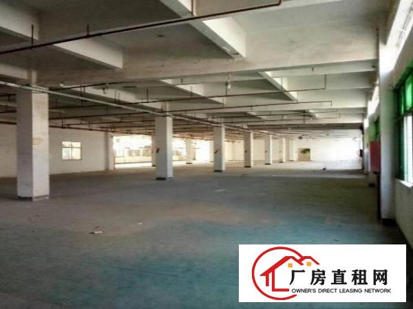 
		龙岗新生标准厂房一楼1200出租，可分租，适合五金，仓库
	