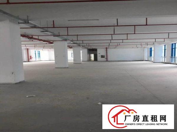 
		龙岗南联大型工业园3000平带装修厂房出租可分租
	
