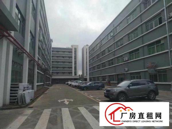 
		龙岗南联大型工业园3000平带装修厂房出租可分租
	