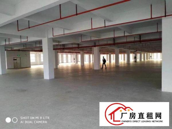 
		龙岗南联大型工业园3000平带装修厂房出租可分租
	