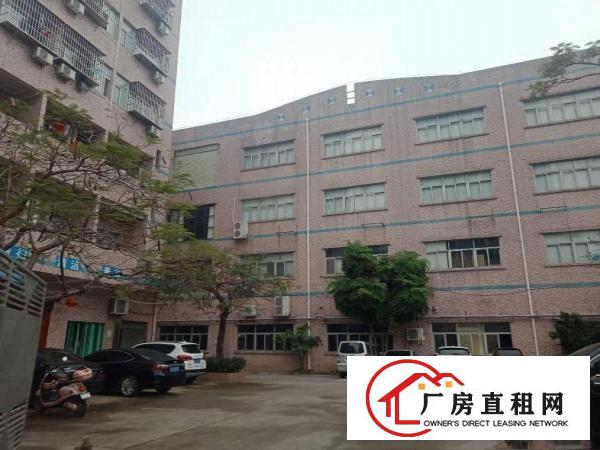 
		带电梯龙岗楼上豪华精装修厂房1200平价格美丽
	