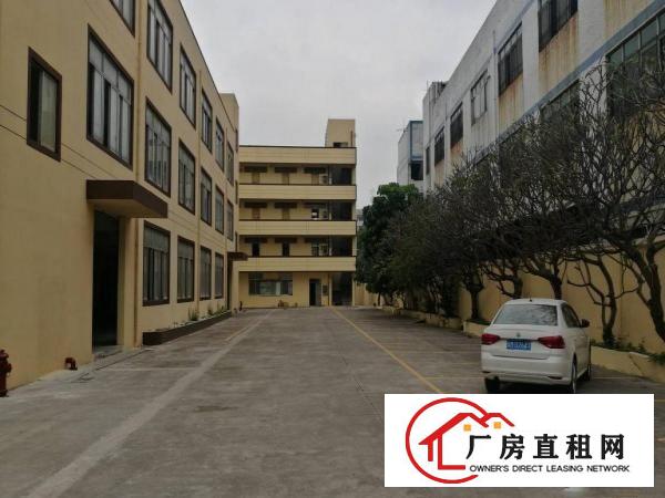 
		两层独栋电商厂房办公室520平方可分租
	