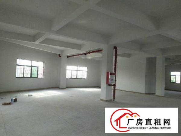 
		出租龙岗区南联新出原房东标准厂房500平方现成装修价格便宜
	