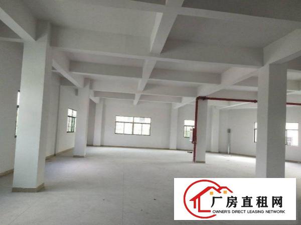 
		出租龙岗区南联新出原房东标准厂房500平方现成装修价格便宜
	