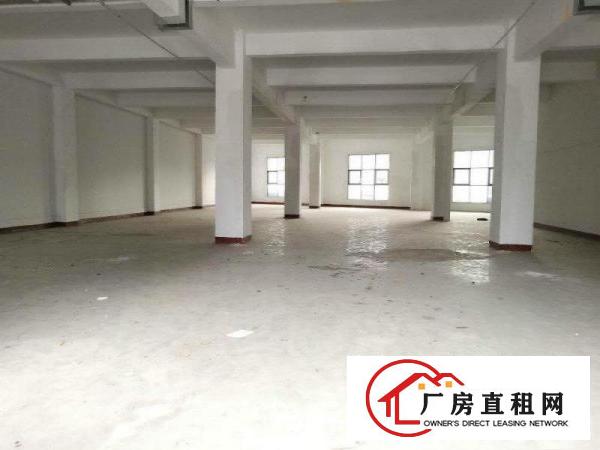 
		物业直招龙岗大型工业园厂房仓库700平
	