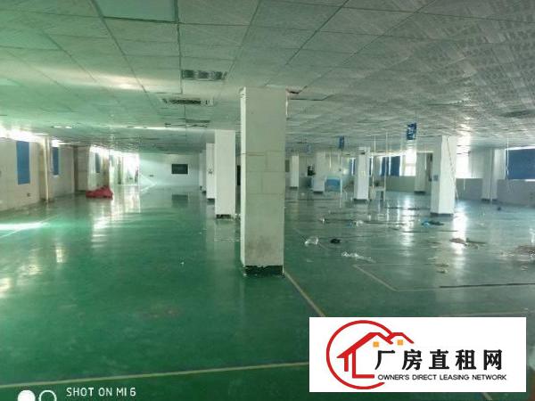 
		龙岗中心城原房东工业独门独院厂房出租4800平可分租
	
