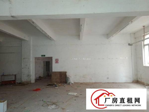 
		龙岗同乐楼上标准厂房1350平出租大小分租
	