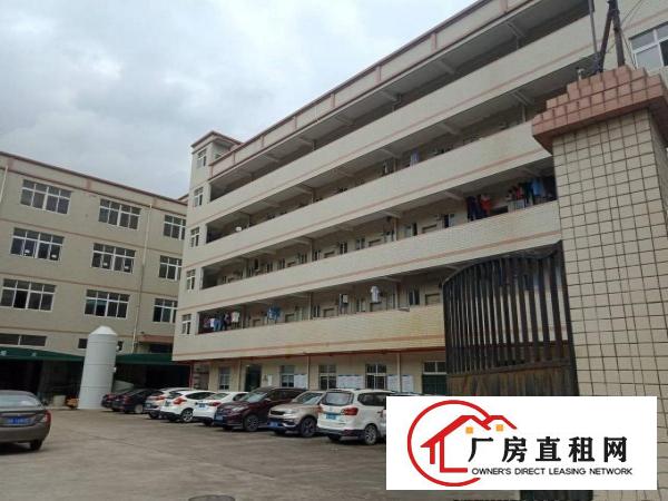 
		龙岗同乐楼上标准厂房1350平出租大小分租
	