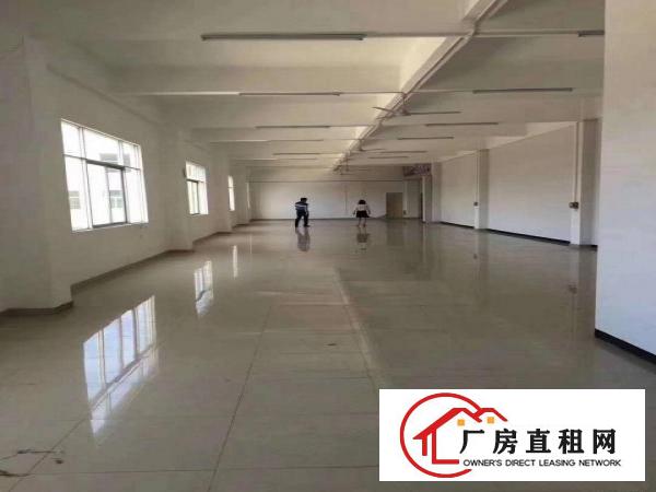 
		爱南路边新出原房东带精装修1000平米厂房出租分租
	