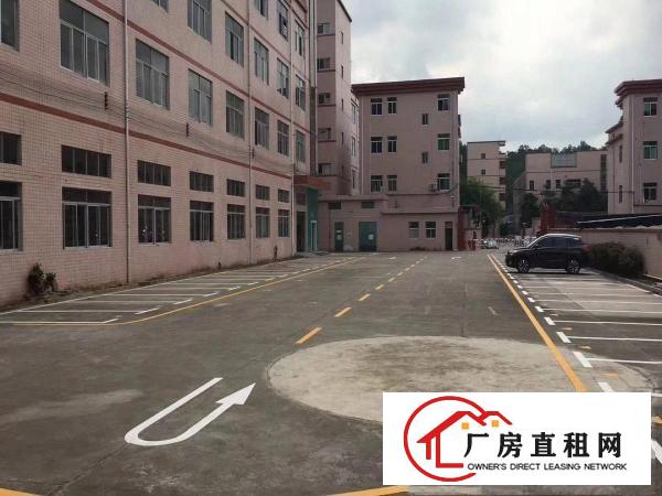 
		爱南路边新出原房东带精装修1000平米厂房出租分租
	