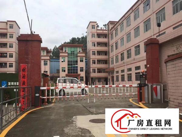 
		爱南路边新出原房东带精装修1000平米厂房出租分租
	