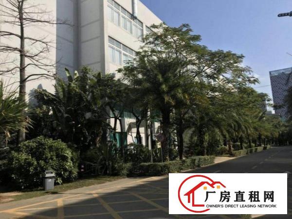 
		龙岗宝龙原房东花园式一楼1350平米厂房出租，无公摊
	