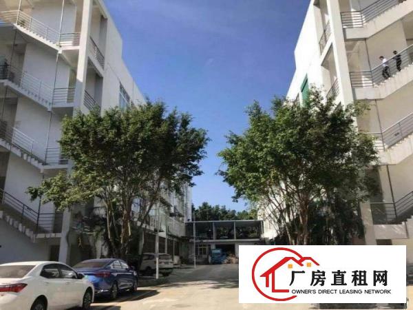 
		龙岗宝龙原房东花园式一楼1350平米厂房出租，无公摊
	