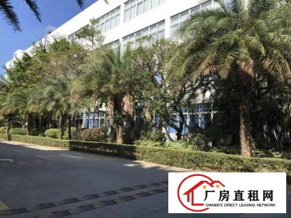 
		龙岗宝龙原房东花园式一楼1350平米厂房出租，无公摊
	