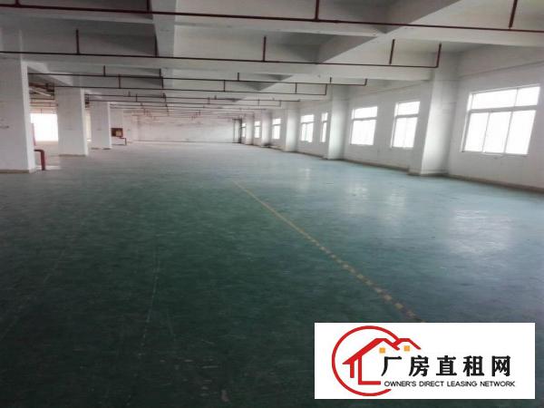 
		龙岗原房东厂房仓库办公室宿舍招租
	