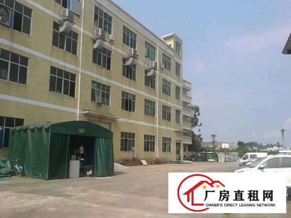 
		南联一楼便宜厂房1250平方可分租
	