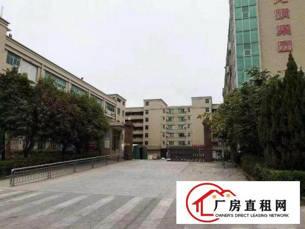 
		龙岗龙西新出精装修水电齐全厂房850平出租，3吨电梯
	
