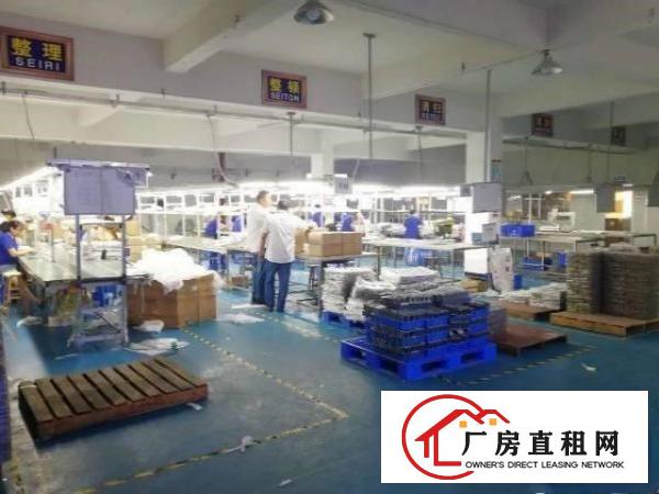 
		龙岗同乐原房东精装修办公室厂房1350平急租
	