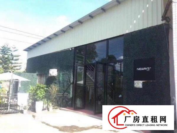 
		龙岗单一层钢构1200平高7米摄影办公精装修厂房出租
	
