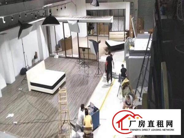 
		龙岗单一层钢构1200平高7米摄影办公精装修厂房出租
	