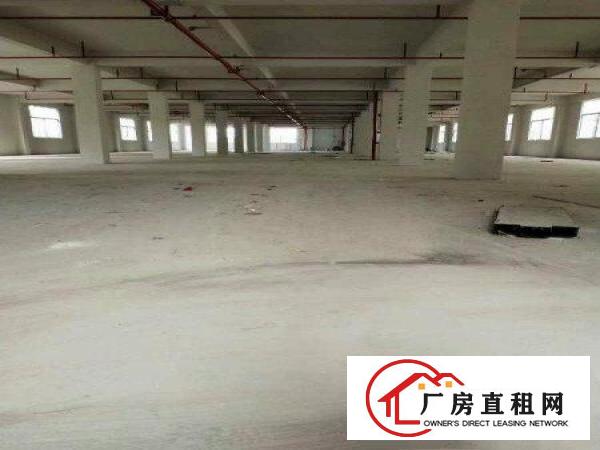 
		独院厂房A栋每层1500平，B栋每层2000平各三层可分租
	