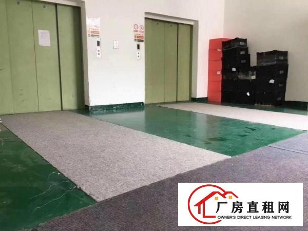 
		丹竹头新出厂房仓库带红本100平起分租
	