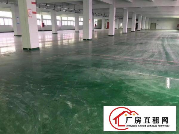 
		丹竹头新出厂房仓库带红本100平起分租
	