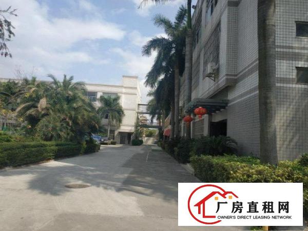 
		龙岗坪地坪西新出楼上980平精装修厂房出租可分租
	