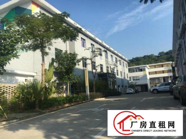 
		龙西（业主直租）独门独院厂房2400平方大小分租
	