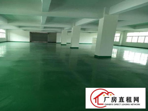 
		龙西（业主直租）独门独院厂房2400平方大小分租
	