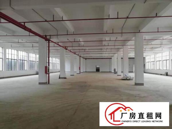 
		龙岗同乐新出一楼3980平厂房出租带地坪漆消防喷淋
	