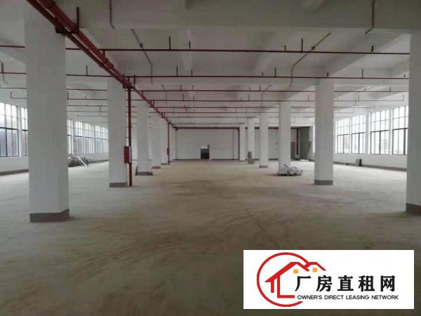 
		龙岗同乐新出一楼3980平厂房出租带地坪漆消防喷淋
	