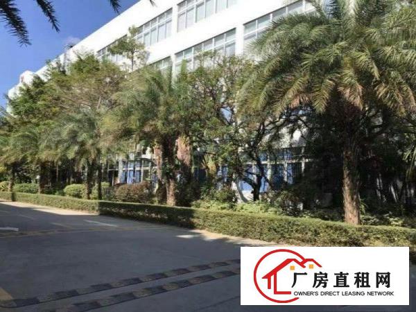 
		龙岗宝龙红本厂房出租5000平适合办公研发医疗高薪行业
	
