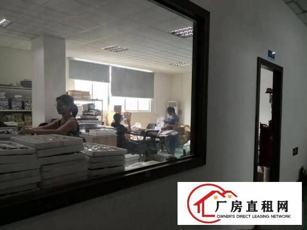 
		龙岗爱联嶂背新出四楼整层带装修900平米带电梯可分租
	