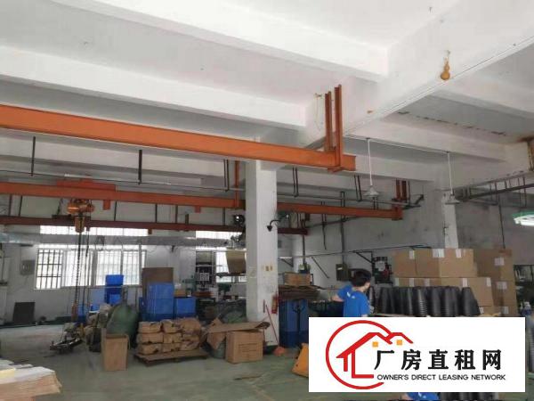 
		深圳龙岗爱联地铁口附近新出独门独院红本厂房出租可分租
	