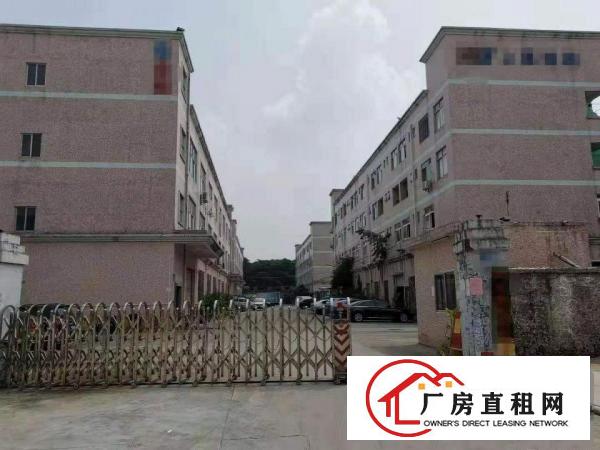 
		深圳龙岗爱联地铁口附近新出独门独院红本厂房出租可分租
	