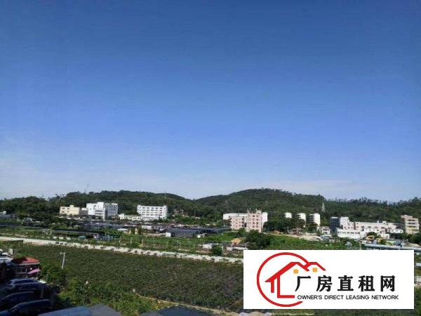 		龙岗大型工业园招商22元平起80到2400可分租	