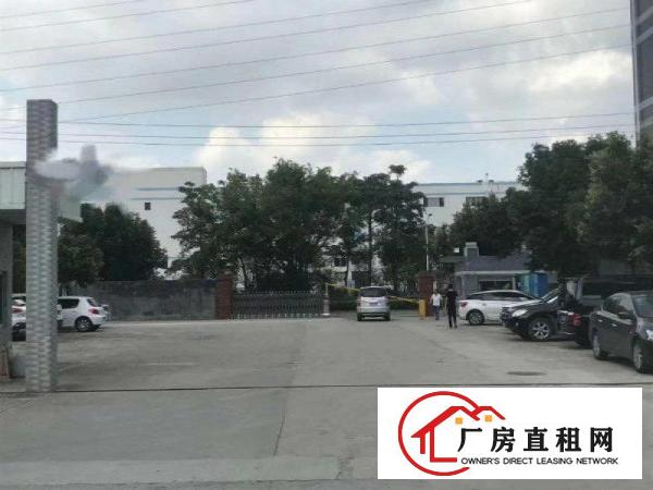 
		龙岗宝龙工业区2180平滴水8米钢构厂房特价处理
	