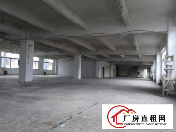
		龙岗同乐社区新空出1180平方标准厂房15元出租
	