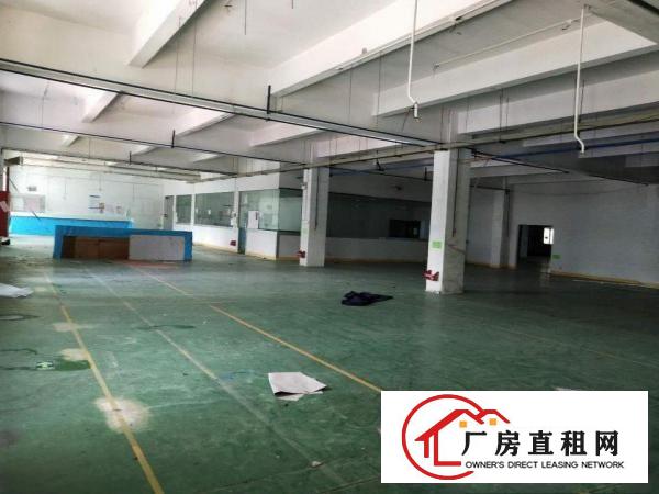 
		龙岗嶂背原房东16元一楼1300平厂房出租无公摊
	