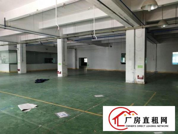
		龙岗嶂背原房东16元一楼1300平厂房出租无公摊
	