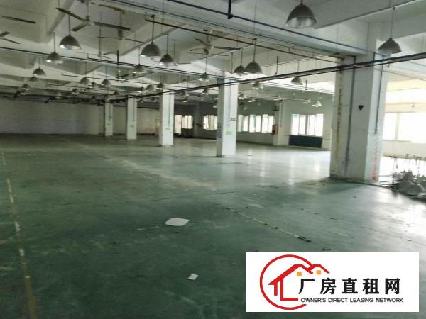 
		龙岗嶂背原房东16元一楼1300平厂房出租无公摊
	